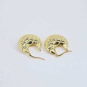 Earring 1237