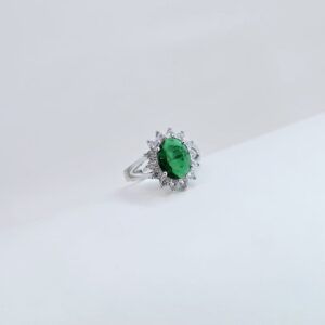 Ring 1379
