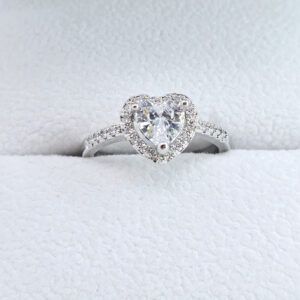 Ring 1013